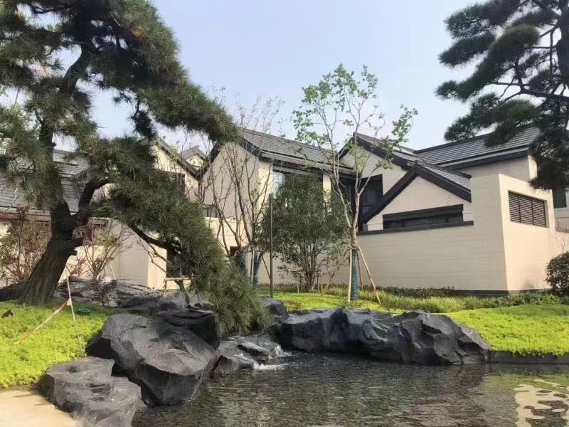 天健山棠春晓实景图